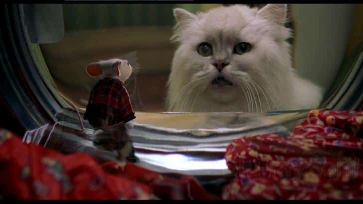 Gatos famosos en la literatura bola de nieve stuart little 1
